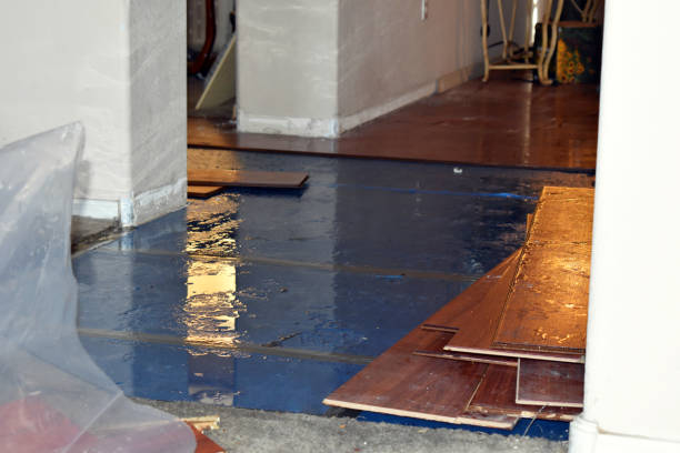 Professional Water Damage Repair technician working in Waring, TX